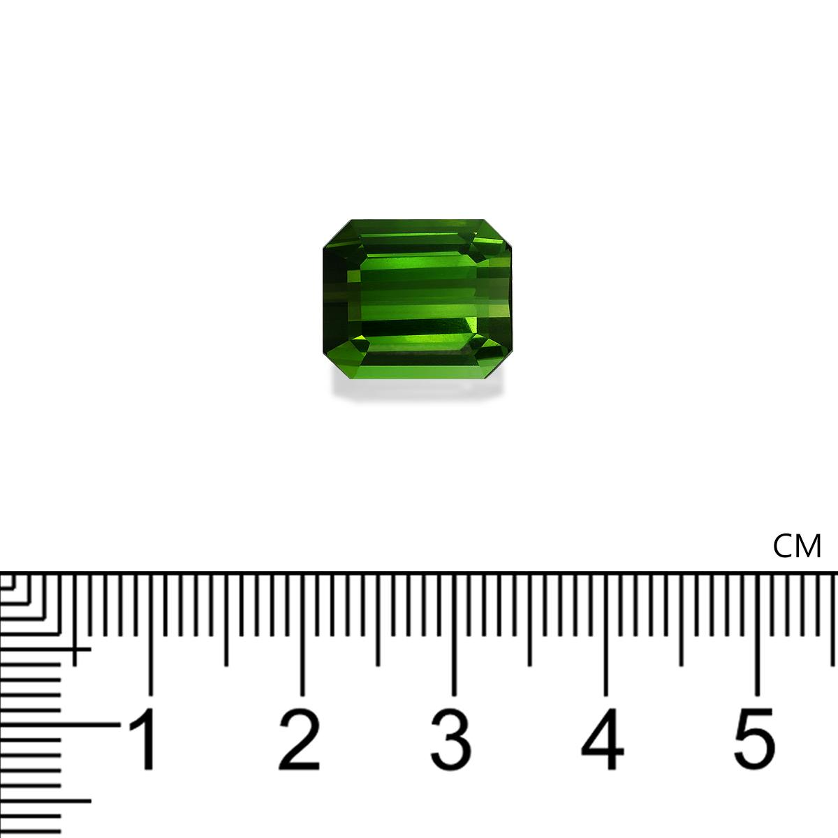 Green Tourmaline 8.28 ct